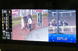 ꡼ No.014 | ֥˥󥰥ݥȡƥϡץܥ٥ȤͤݡȡWinning Post 8 2016פˤ졼ߥ졼η̤ϡ