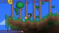 ꡼ No.008 | PS Vitaǡ֥ƥꥢפ2014ǯ26о졣PS3Ǥ١˿ǽ俷Ǥɲ