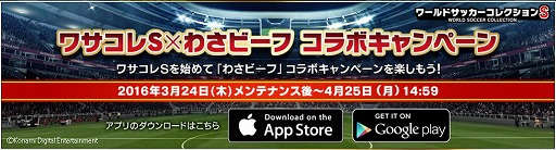 ꡼ No.002Υͥ / ֥掠Sסݥƥ֤蘆ӡաפȤΥܤǥͥޡΥɤ館