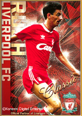 ꡼ No.004Υͥ / ֥掠SססFCΥ쥸ɥɤɲ