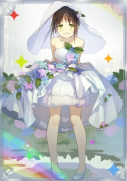 ꡼ No.013 | ֤뤰륤ס100CP館륭ڡ򳫺š22ޤ