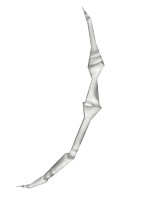 ꡼ No.012 | ֥֥쥤֥꡼ ɥ쥤䡼״Ϣܥ٥Ⱦ