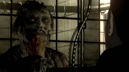 ꡼ No.007 | Ρ֥ץ쥳ߥCafeϡ֥ƥ륺  ƥꥢפۤ2ȥҲ