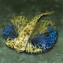 ꡼ No.013 | ҳVסȡ꡼ɲä륢åץǡȡ־äҲפޡLRȤ