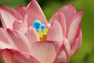 画像ギャラリー No.009のサムネイル画像 / 「うみにん」の公式サイトがオープン。スマホ向けゲームアプリ第1弾も配信