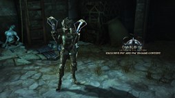 画像集#003のサムネイル/PS4/PS3版「ディアブロ III リーパー オブ ソウルズ アルティメット イービル エディション」が,「ワンダと巨像」「The Last of Us」とコラボ決定