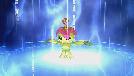 ������#036�Υ���ͥ���/�֥ǥ���󥹥ȡ��꡼�������С����륥�����ס�����ư�褬�꤬����CG�ࡼ�ӡ��ΰ������åȤ������ˡ���Ǿ���֤β��إ��ꥢ�˴ؤ�������