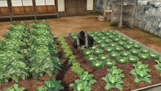 画像集#003のサムネイル/「龍が如く 維新!」の一部をプレイできる「龍が如く維新! 無料アプリ for PlayStation Vita」が2月13日に配信決定