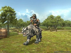 ꡼ No.006Υͥ / MMORPG֥륫ǥפȥ֥ȥ륫ǥפȤƺƻư