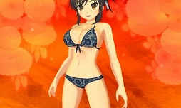 画像集#012のサムネイル/「閃乱カグラ2」,シューティングも遊べるDLC「閃乱カグラ2 Hipster」が配信