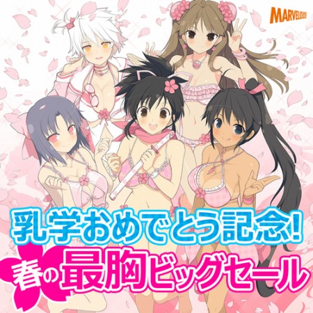 ꡼ No.003 | 𥫥 ESTIVAL VERSUS ԤDLCʤǹǤ륭ڡ»