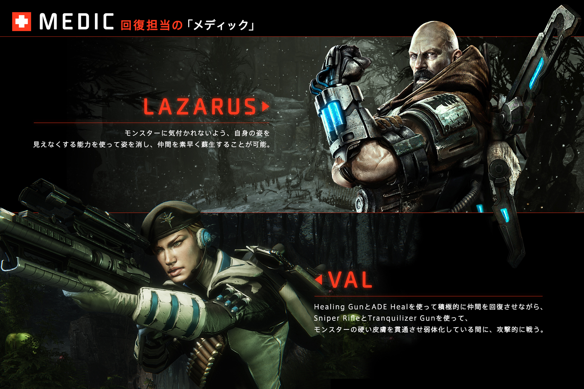 ꡼ No.004 | EvolveפΦƥȤ˻äǤ륭ɤɲȯԤ줿ΤǡޤޤΤ餻㤤ޤ٤3碌2000̾