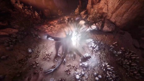 ꡼ No.005Υͥ / Evolveץץ쥤֥󥹥2ơˤäͷǥϥ󥿡ǿԤˤ֥顼פξܺ٤