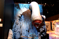 ������#036�Υ���ͥ���/��10��ǯ��ǰ��󥹥����ϥ󥿡�Ÿ�פΥ����ץ˥󥰥����ˡ����ץ쥹�����񤬳��š����ϥ�10ǯ����ߤ�̤��򴶤�������������ͤ��ݡ���