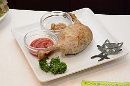 ������#016�Υ���ͥ���/��MH4G�ץꥢ�뽸��꤬������������������ץ������˹Ԥ�줿�����ץ˥󥰥����ˡ����ݡ���