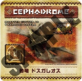 ������#034�Υ���ͥ���/��MH4G�ץꥢ�뽸��꤬������������������ץ������˹Ԥ�줿�����ץ˥󥰥����ˡ����ݡ���