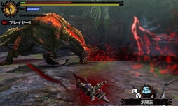 ���������꡼ No.010�Υ���ͥ������ / ��MH4G�ס��֤ɤ��֤Ĥο��ץ���ܤ�G��ζ�Ũ���廊�륯�����Ȥ��ۿ�����������