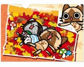 ꡼ No.020 | ֥ϥץåˡB-SIDE LABELץTĤʤɤо