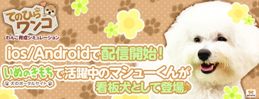 ������#002�Υ���ͥ���/iOS/Android������󤳰�������֤ƤΤҤ��󥳡פ������ۿ���������