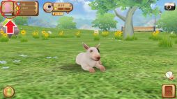 ������#004�Υ���ͥ���/�֤ƤΤҤ��󥳡פ�20��DL���ˡ��֥�����פ�������뵭ǰ�����ڡ����