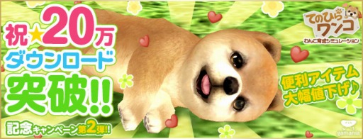 ������#002�Υ���ͥ���/�֤ƤΤҤ��󥳡ס�20����������������˵�ǰ�����ڡ��󤬳��Ť�