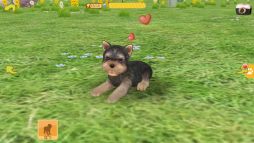 画像集#002のサムネイル/「てのひらワンコ」で洋服や家具の半額キャンペーンが5月9日まで開催に