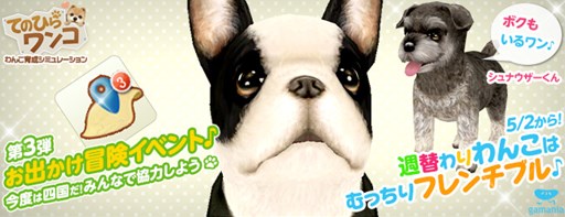 画像集#001のサムネイル/「てのひらワンコ」お出かけ冒険イベント第3弾開催。今週の目的地は四国地方