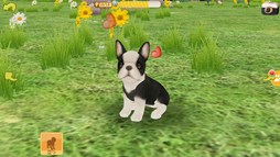 画像集#004のサムネイル/「てのひらワンコ」お出かけ冒険イベント第3弾開催。今週の目的地は四国地方