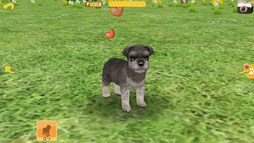 画像集#005のサムネイル/「てのひらワンコ」お出かけ冒険イベント第3弾開催。今週の目的地は四国地方