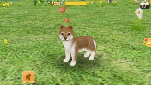 画像集#005のサムネイル/「てのひらワンコ」,条件達成で“秋田犬”が手に入る「ハチ公冒険イベント」