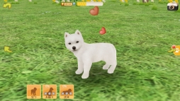 画像集#006のサムネイル/「てのひらワンコ」,条件達成で“秋田犬”が手に入る「ハチ公冒険イベント」