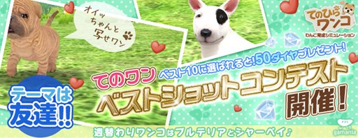 画像集#001のサムネイル/「てのひらワンコ」,ベストショットコンテストの応募受付がスタート