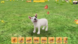 画像集#006のサムネイル/「てのひらワンコ」,ベストショットコンテストの応募受付がスタート