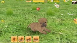 画像集#007のサムネイル/「てのひらワンコ」,ベストショットコンテストの応募受付がスタート