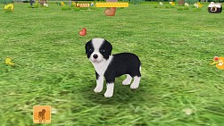 画像集#007のサムネイル/「てのひらワンコ」,お出かけ冒険イベントの東海地方編がスタート