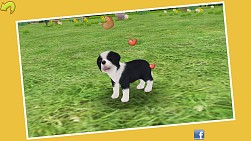 画像集#008のサムネイル/「てのひらワンコ」,お出かけ冒険イベントの東海地方編がスタート