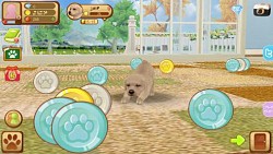 画像集#002のサムネイル/「てのひらワンコ」,ゲーム内で手に入るコインや経験値を大幅にアップ