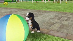 画像集#004のサムネイル/「てのひらワンコ」,ゲーム内で手に入るコインや経験値を大幅にアップ