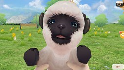 画像集#002のサムネイル/「てのひらワンコ」ストリートコンテスト週間ランキングイベントが7月21日より開催