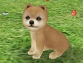 画像集#002のサムネイル/「てのひらワンコ」,チュートリアルクリアボーナスで,もう1匹わんこがもらえる