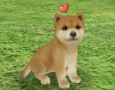 画像集#004のサムネイル/「てのひらワンコ」,チュートリアルクリアボーナスで,もう1匹わんこがもらえる