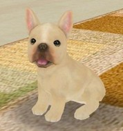 画像集#009のサムネイル/「てのひらワンコ」,チュートリアルクリアボーナスで,もう1匹わんこがもらえる