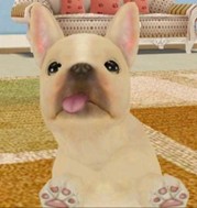 画像集#010のサムネイル/「てのひらワンコ」,チュートリアルクリアボーナスで,もう1匹わんこがもらえる