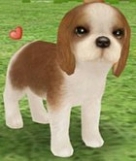 画像集#011のサムネイル/「てのひらワンコ」,チュートリアルクリアボーナスで,もう1匹わんこがもらえる