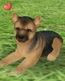 画像集#014のサムネイル/「てのひらワンコ」,チュートリアルクリアボーナスで,もう1匹わんこがもらえる