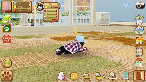 ꡼ No.008 | ޥۤǻϤ뿷ڥåȥ饤աޥ۸֤ƤΤҤ󥳡פҲ𤹤֡ʤۤܡޥۥ̿746