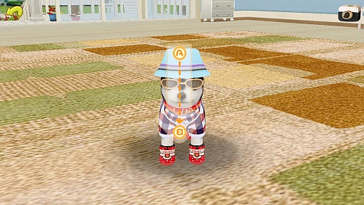 ꡼ No.010 | ޥۤǻϤ뿷ڥåȥ饤աޥ۸֤ƤΤҤ󥳡פҲ𤹤֡ʤۤܡޥۥ̿746