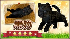 画像ギャラリー No.006のサムネイル画像 / 「てのひらワンコ」,限定わんこが手に入る1周年記念キャンペーンを実施