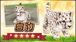 画像ギャラリー No.007のサムネイル画像 / 「てのひらワンコ」,限定わんこが手に入る1周年記念キャンペーンを実施