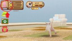 ���������꡼ No.005�Υ���ͥ������ / �֤ƤΤҤ��󥳡סߡ֤ܤ��Υϥ������Ķȥ��顼����ס�����ܥ����ڡ����»�